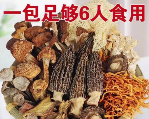 菌菇汤包羊肚菌虫草花食用菌滋补