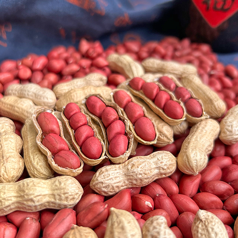带壳红皮花生新货农家新鲜四粒红